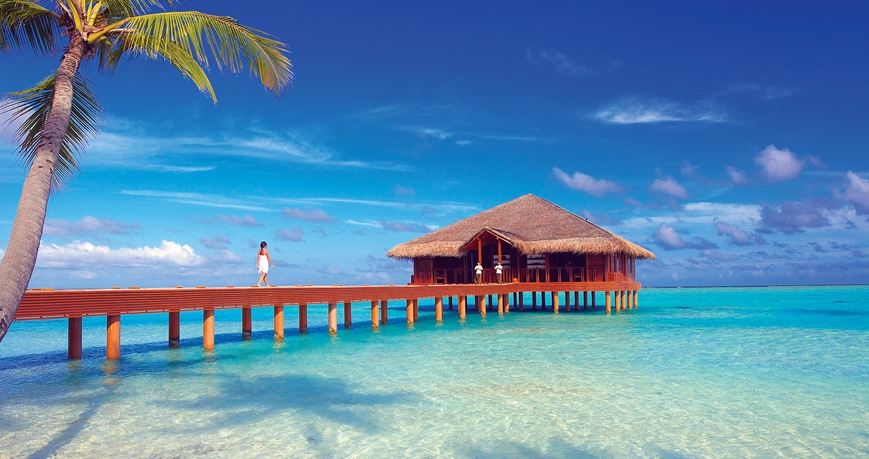 Nurkowanie na Malediwach na atolu Medhufushi Island Resort - Meemu ...